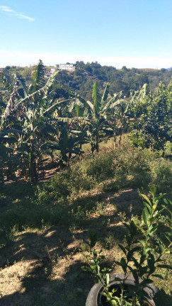 Imagem Terreno à Venda, 14.000 m² em Parque Recanto Mônica - Itaquaquecetuba Imagem Terreno à Venda, 14.000 m² em Parque Recanto Mônica - Itaquaquecetuba