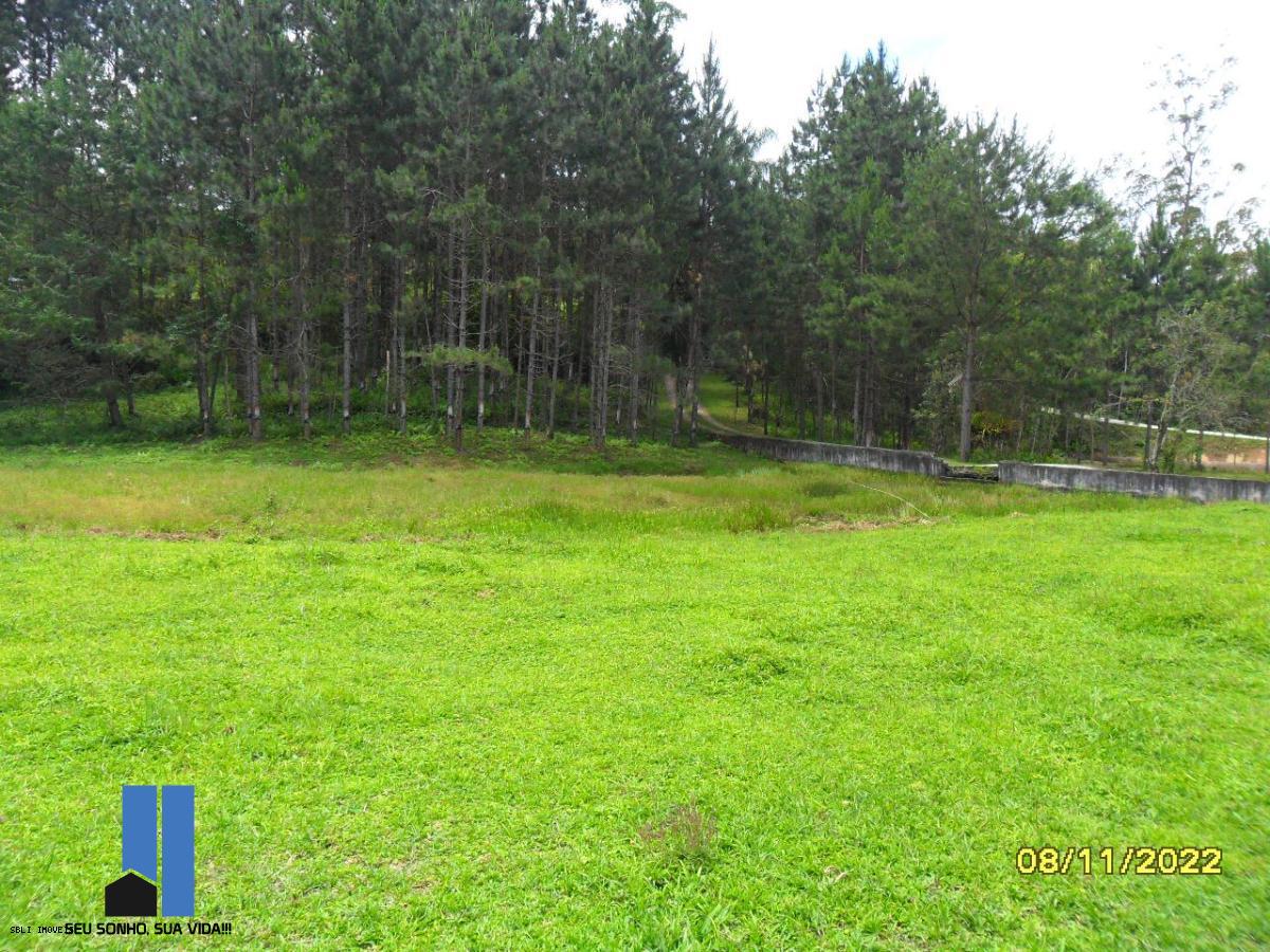 Imagem Terreno à Venda, 60 m²em Barrinha - São Lourenço da Serra