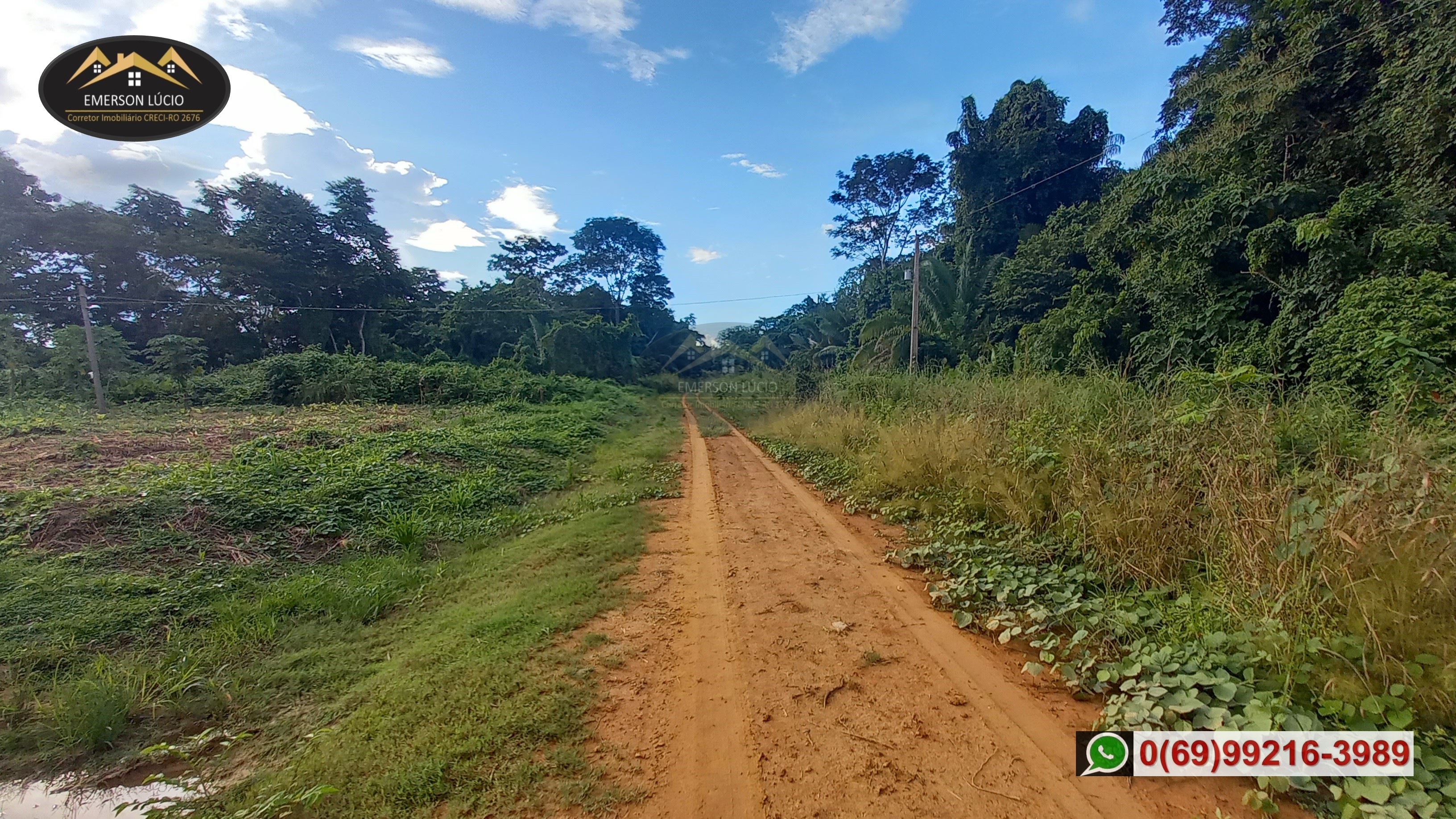 Imagem Fazenda à Venda, 50 HAem Rio Madeira - Porto Velho Imagem Fazenda à Venda, 50 HAem Rio Madeira - Porto Velho