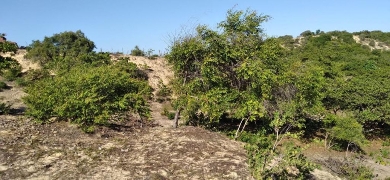 Imagem Terreno à Venda, 5.658 m²em Pajuçara - Natal