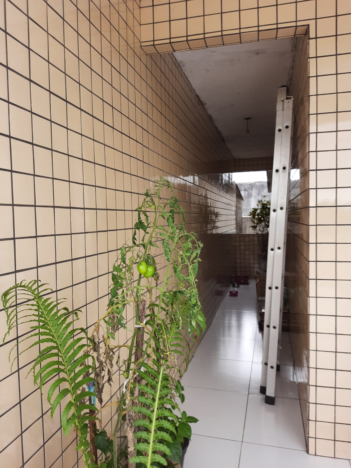 Imagem Casa com 3 Quartos à Venda, 100 m²em Parque Continental - São Vicente