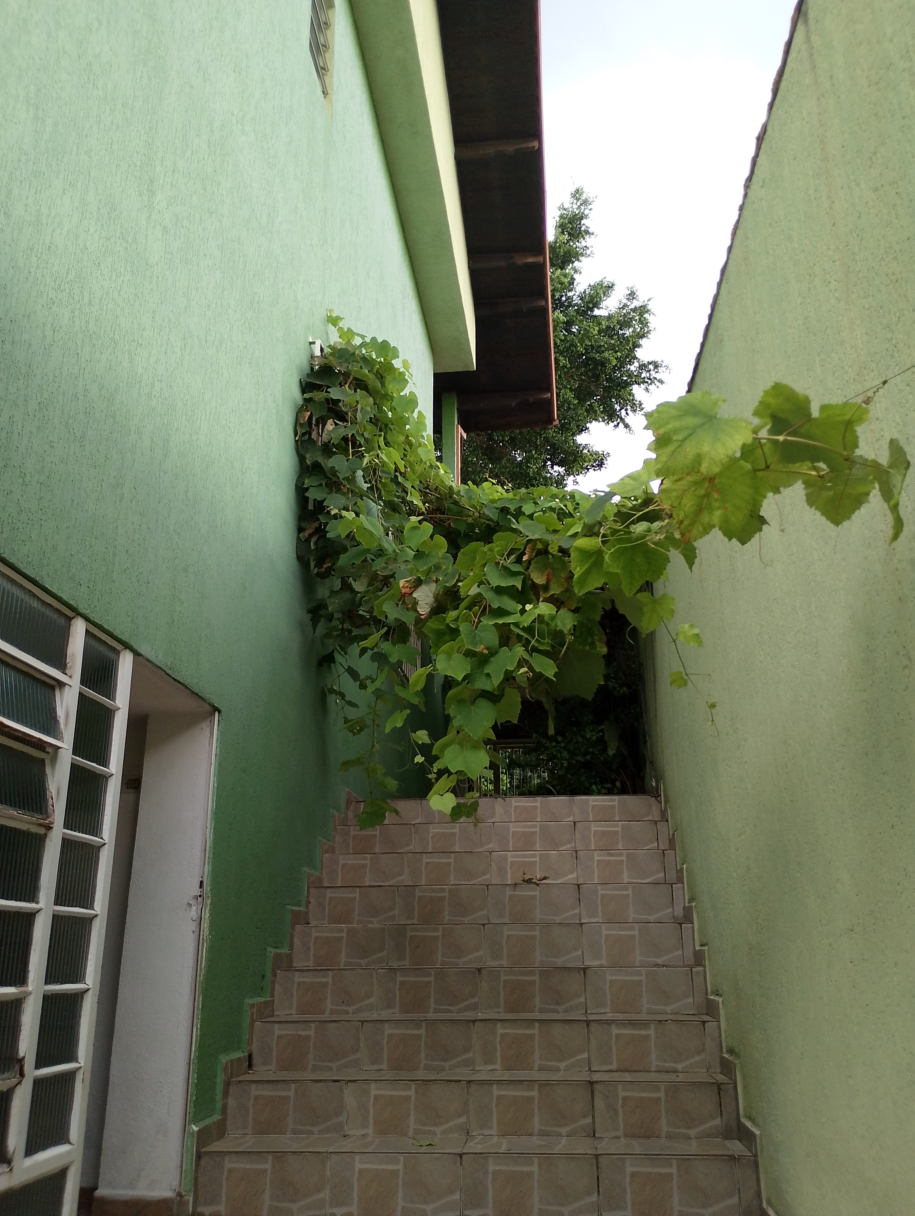 Imagem Sobrado com 2 Quartos à Venda ou Locação, 100 m²em Vila Vitória - Mogi das Cruzes Imagem Sobrado com 2 Quartos à Venda ou Locação, 100 m²em Vila Vitória - Mogi das Cruzes