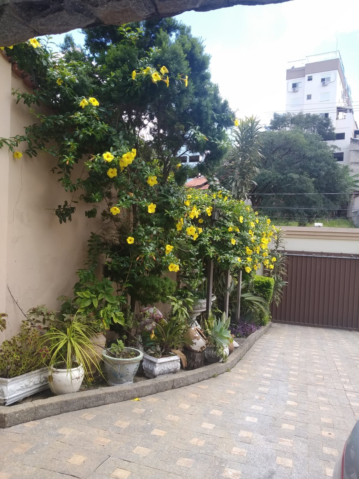 Imagem Casa com 5 Quartos à Venda, 370 m²em Ouro Preto - Belo Horizonte