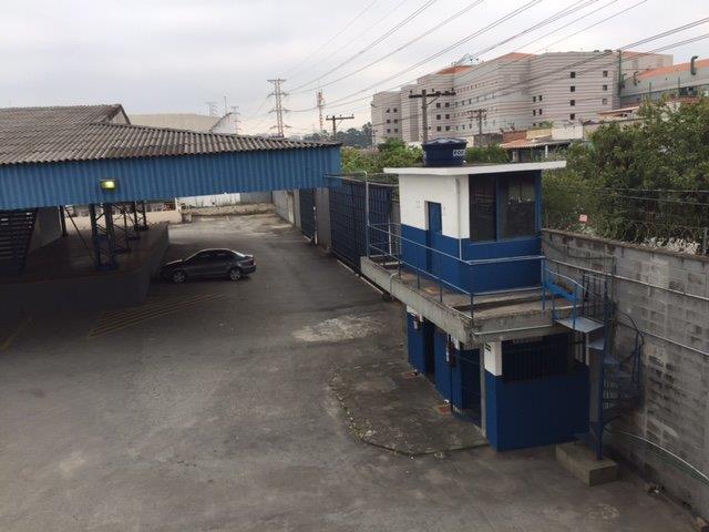 Imagem Galpão para Alugar, 3.247 m² em Vila Ribeiro de Barros - São Paulo