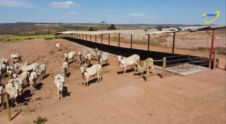 Imagem Fazenda à Venda, 297 HAem Paranoá - Brasília
