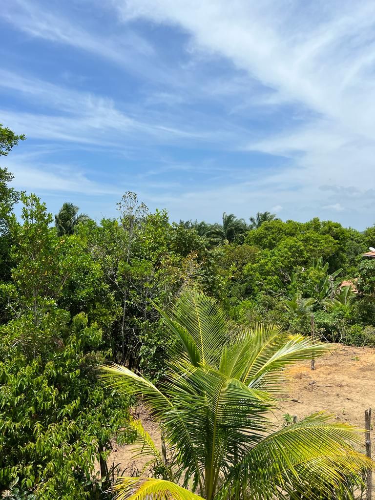 Imagem Terreno à Venda, 310 m²em Velha Boipeba - Cairu