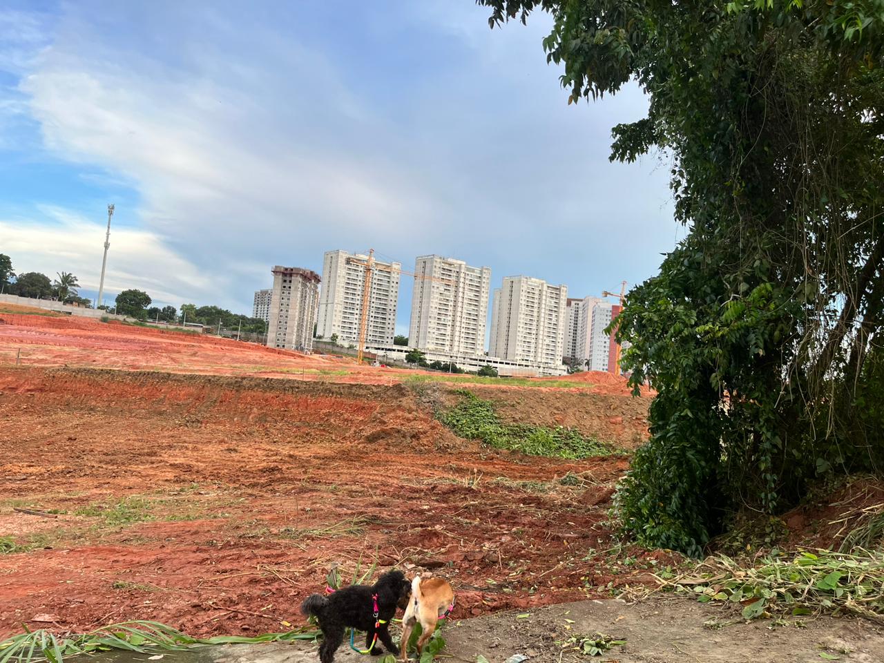 Imagem Terreno à Venda, 312 m²em Ponta Negra - Manaus Imagem Terreno à Venda, 312 m²em Ponta Negra - Manaus