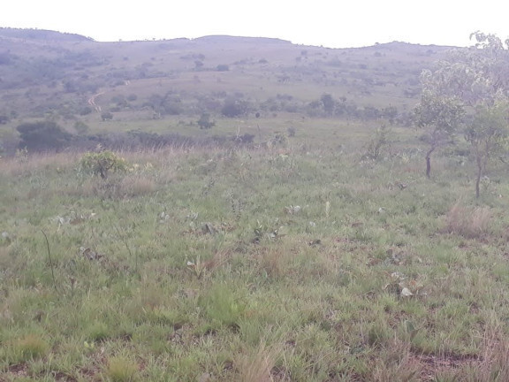 Imagem Terreno à Venda, em Centro - Santo Antônio do Descoberto