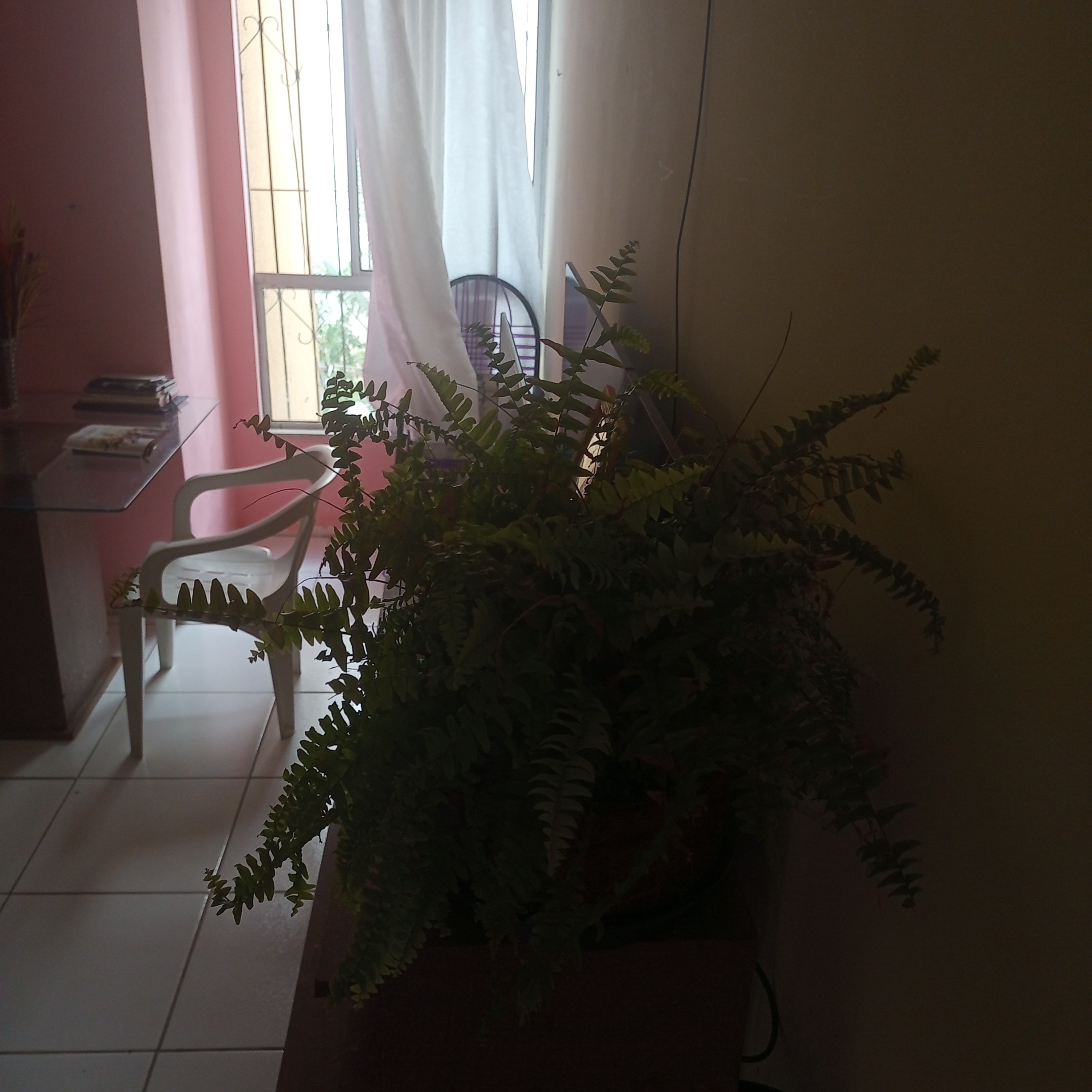 Imagem Apartamento com 2 Quartos à Venda, 51 m² em Jambeiro - Lauro de Freitas
