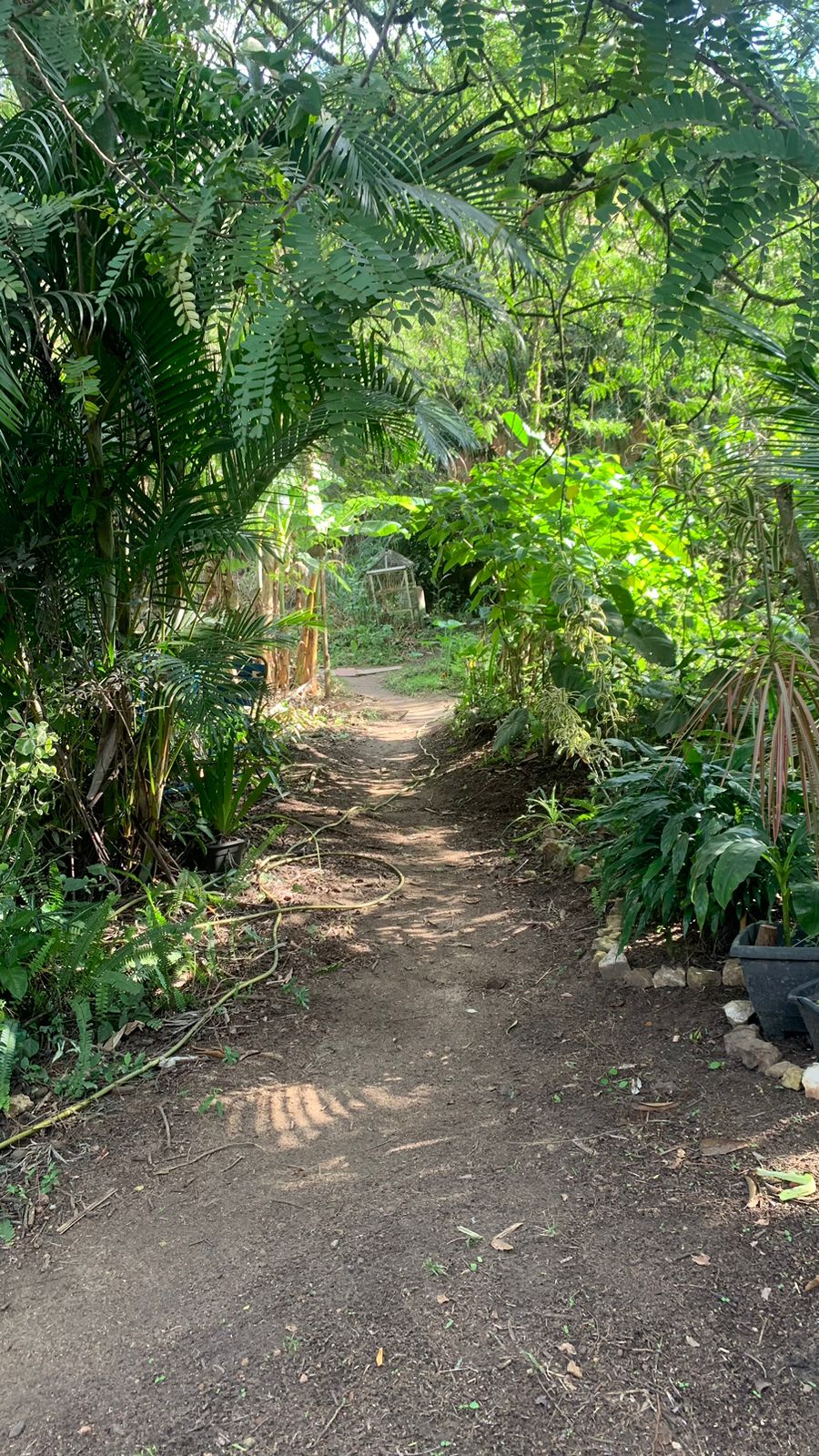 Imagem Terreno à Venda, 17.850 m² em Realengo - Rio de Janeiro