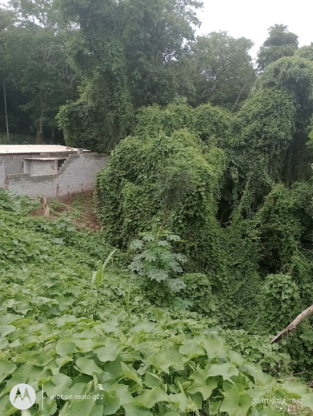 Imagem Terreno à Venda, 3 m²em Jardim Sabiá - Cotia