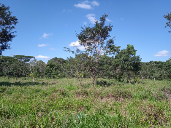 Imagem Terreno à Venda, 3.655.251 m²em Estância Vargem Bonita - Senador Canedo