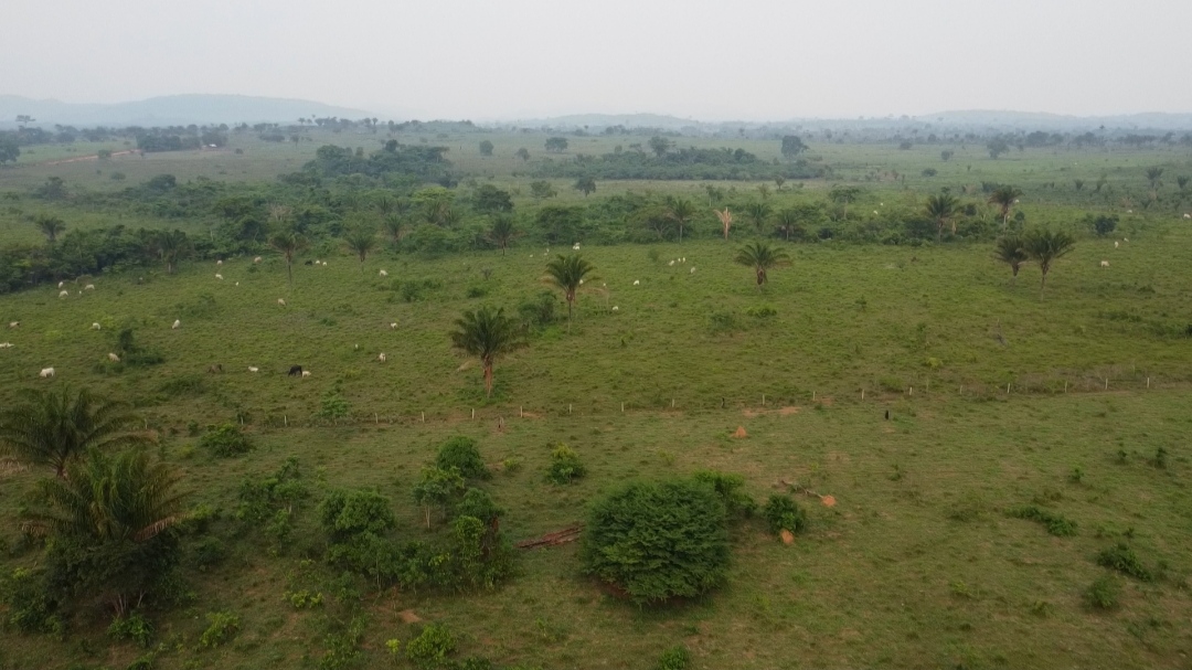 Imagem Fazenda à Venda, 1 m²em Centro - São Félix do Xingu Imagem Fazenda à Venda, 1 m²em Centro - São Félix do Xingu
