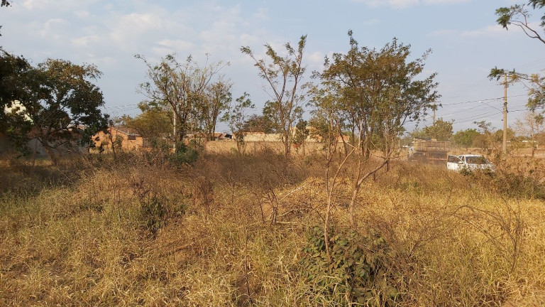 Imagem Terreno à Venda, 200 m² em Parque Novo Século - Campo Grande