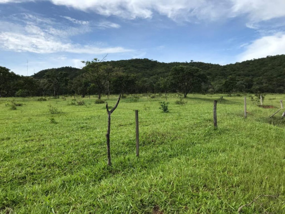 Imagem Chácara com 1 Quarto à Venda, 20.000 m² em Independência - 1º Complemento Setor das Mansões - Aparecida de Goiânia