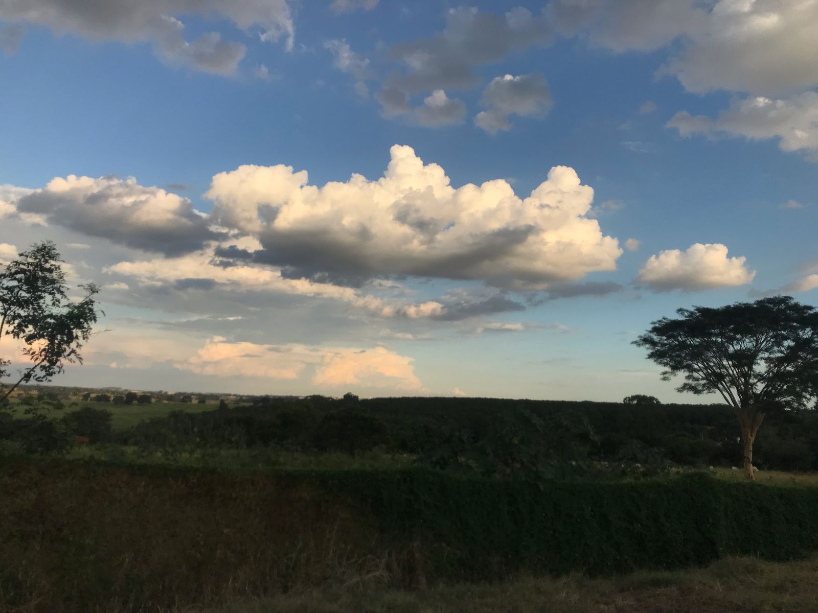 Imagem Terreno em Condomínio à Venda, 507 m² em Estância Bacuri - Ipiguá