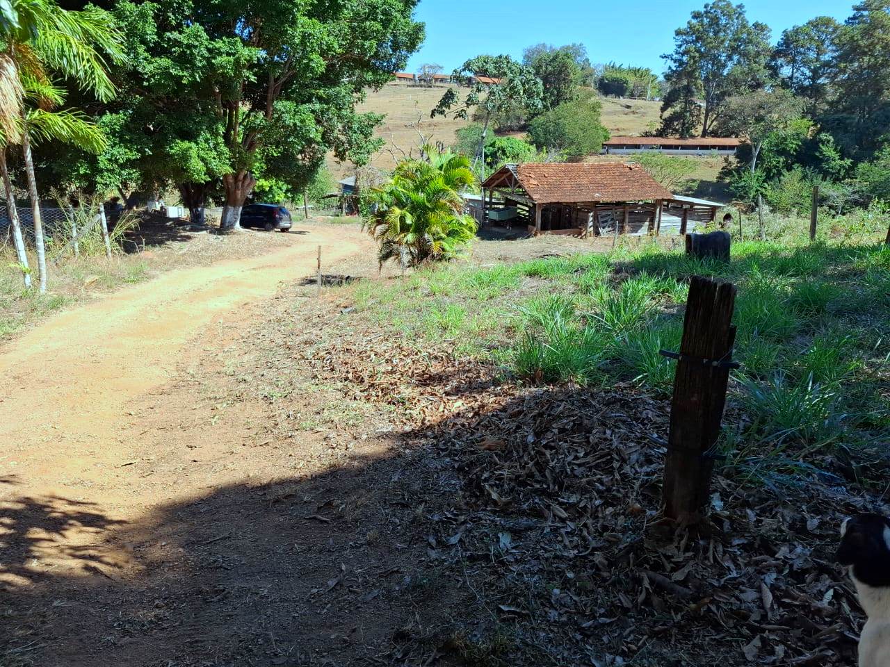 Imagem Fazenda à Venda, 1 m²em Rural - Caconde Imagem Fazenda à Venda, 1 m²em Rural - Caconde