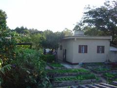 Imagem Chácara com 3 Quartos à Venda, 10 hectareem Chácaras Alpina - Valinhos