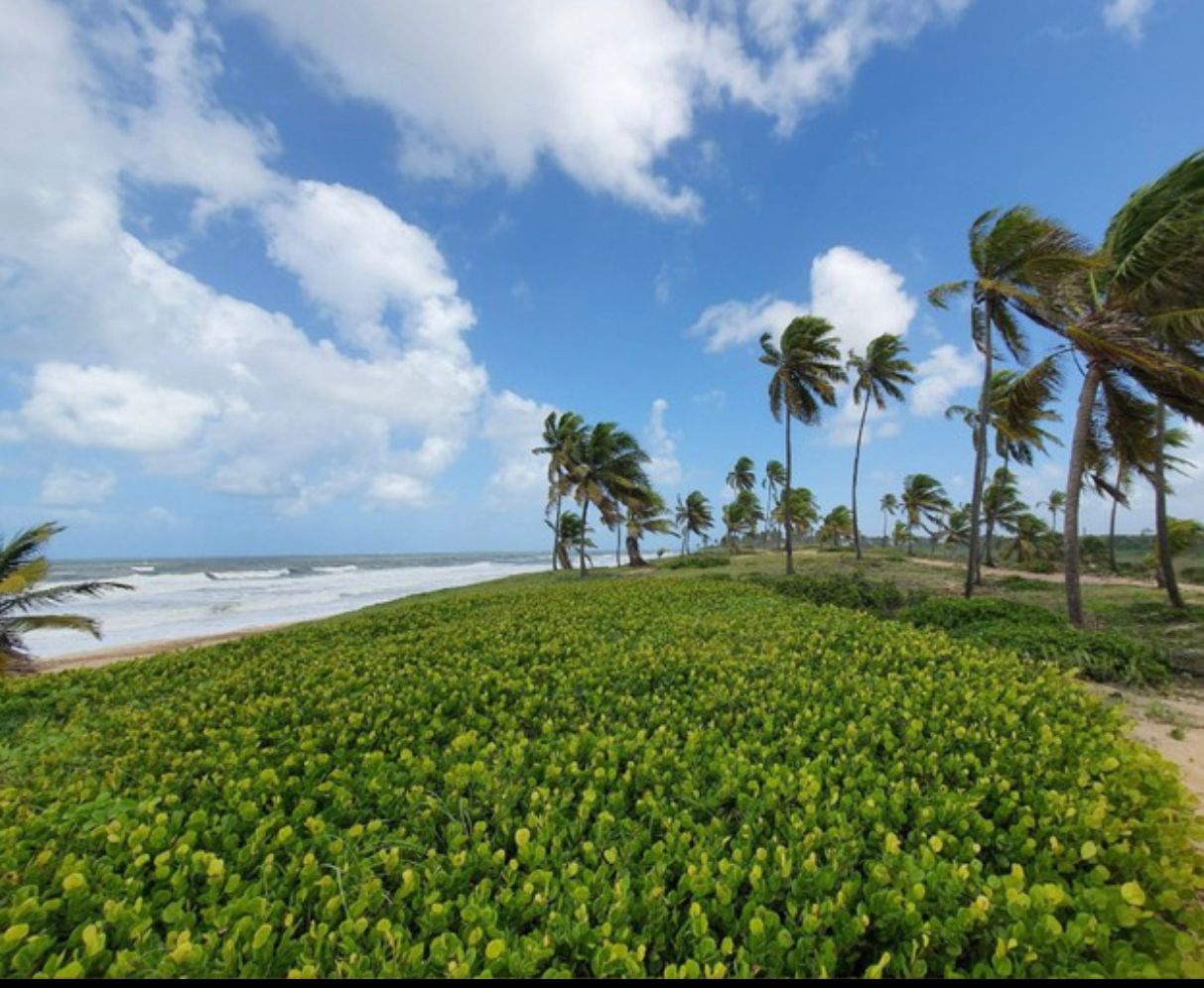 Imagem Terreno em Condomínio à Venda, 680 m²em Costa de Sauipe - Mata de São João