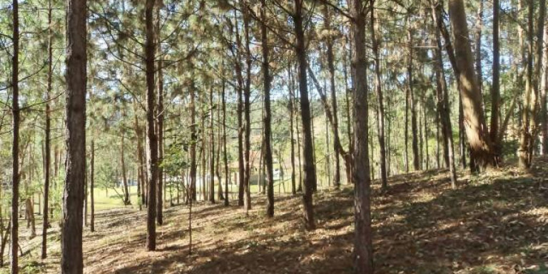 Imagem Chácara com 9 Quartos à Venda, 121 m² em Centro - Santa Isabel Imagem Chácara com 9 Quartos à Venda, 121 m² em Centro - Santa Isabel