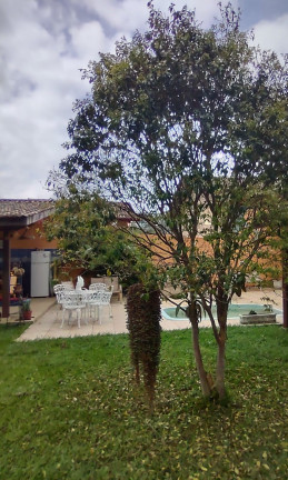Imagem Terreno à Venda, 320 m² em São Francisco da Praia - São Sebastião