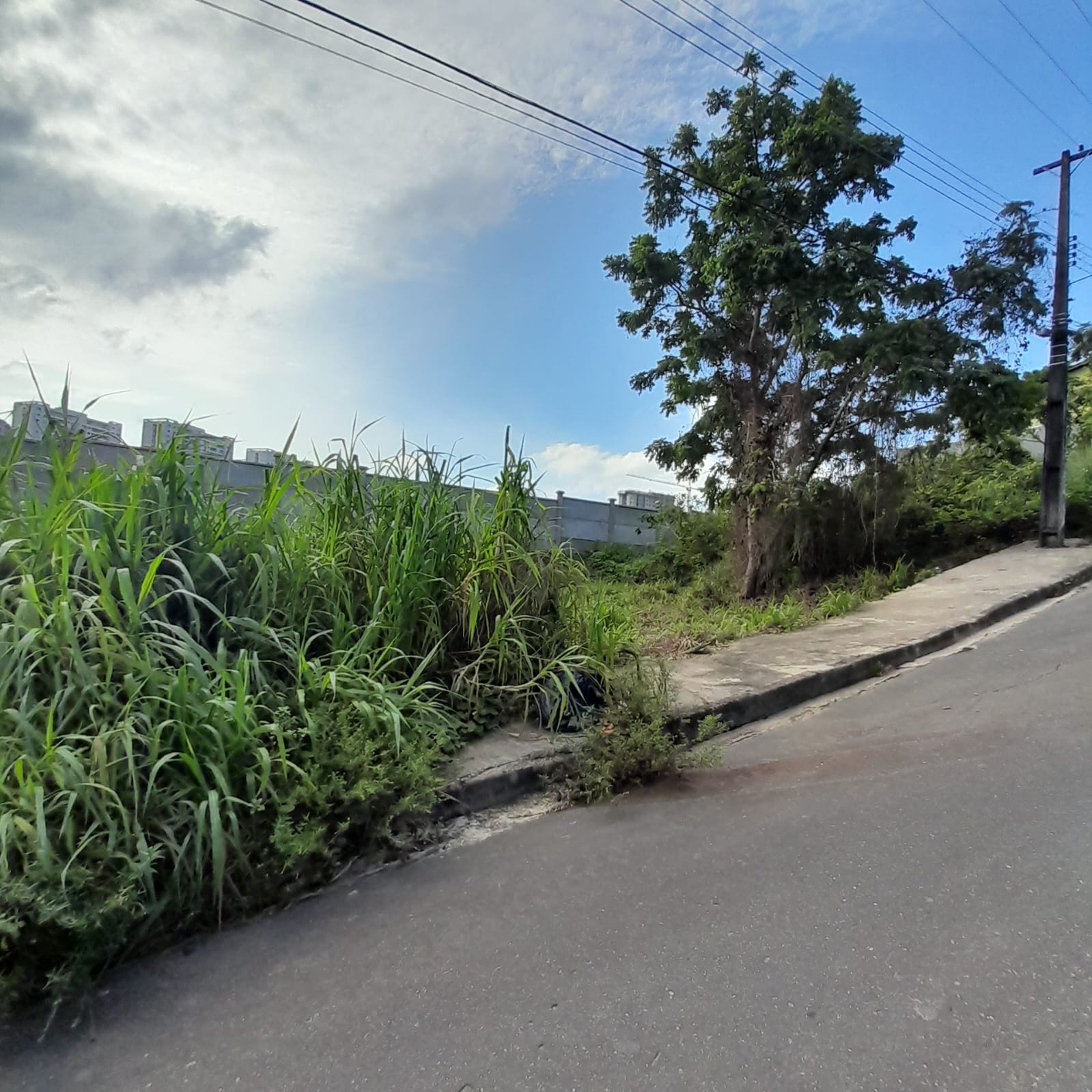 Imagem Terreno à Venda, 312 m²em Ponta Negra - Manaus Imagem Terreno à Venda, 312 m²em Ponta Negra - Manaus