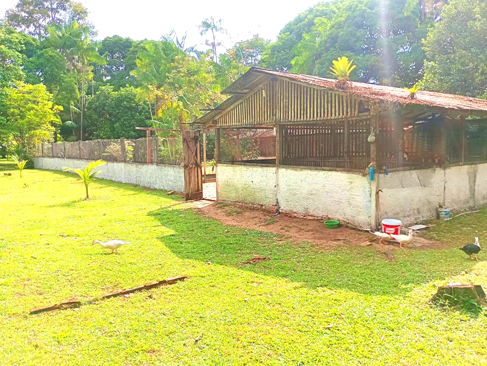 Chácara com 3 Quartos à Venda, 15 m²em Pau Darco - Santa Bárbara do Pará