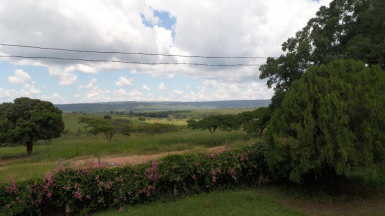 Imagem Terreno à Venda, 11.500 m² em zona rural - Bocaiúva