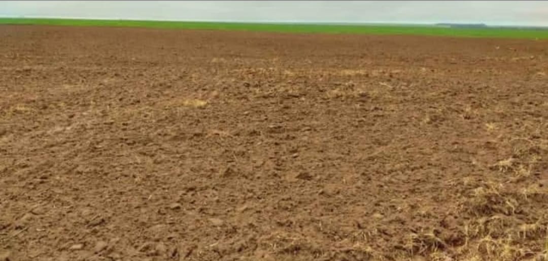 Imagem Imóvel à Venda, em Zona Rural - Confresa