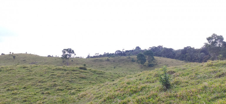 Imagem Fazenda à Venda, 34 HAem Brusque do Sul - Orleans