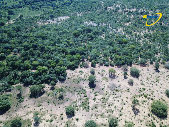 Imagem Fazenda à Venda, 681.000 m² em rural - São João D'Aliança