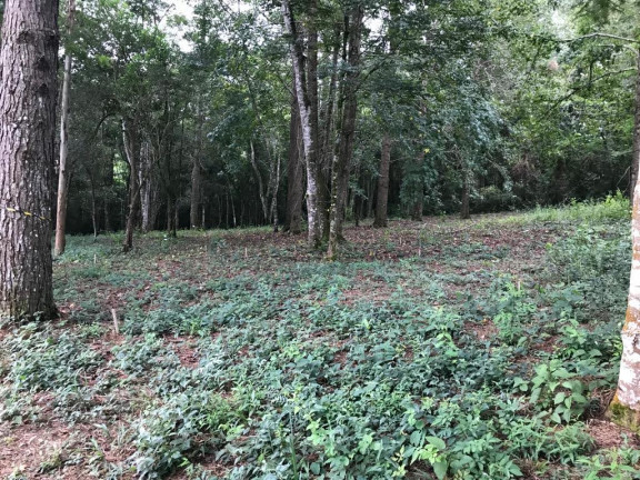 Imagem Terreno em Condomínio à Venda, 1.212 m² em Caxambu - Jundiaí