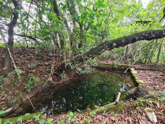 Imagem Fazenda à Venda, 24 HA em brazlandia - Brasília