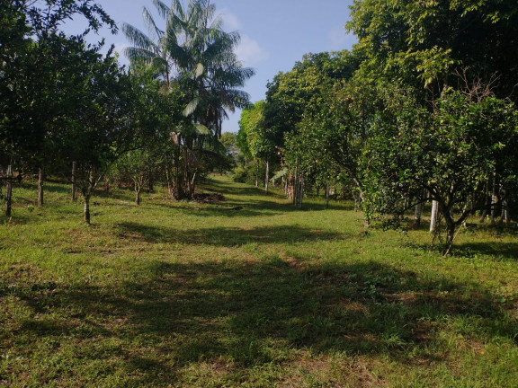 Chácara à Venda, 1 m² em Centro - Santa Isabel do Pará