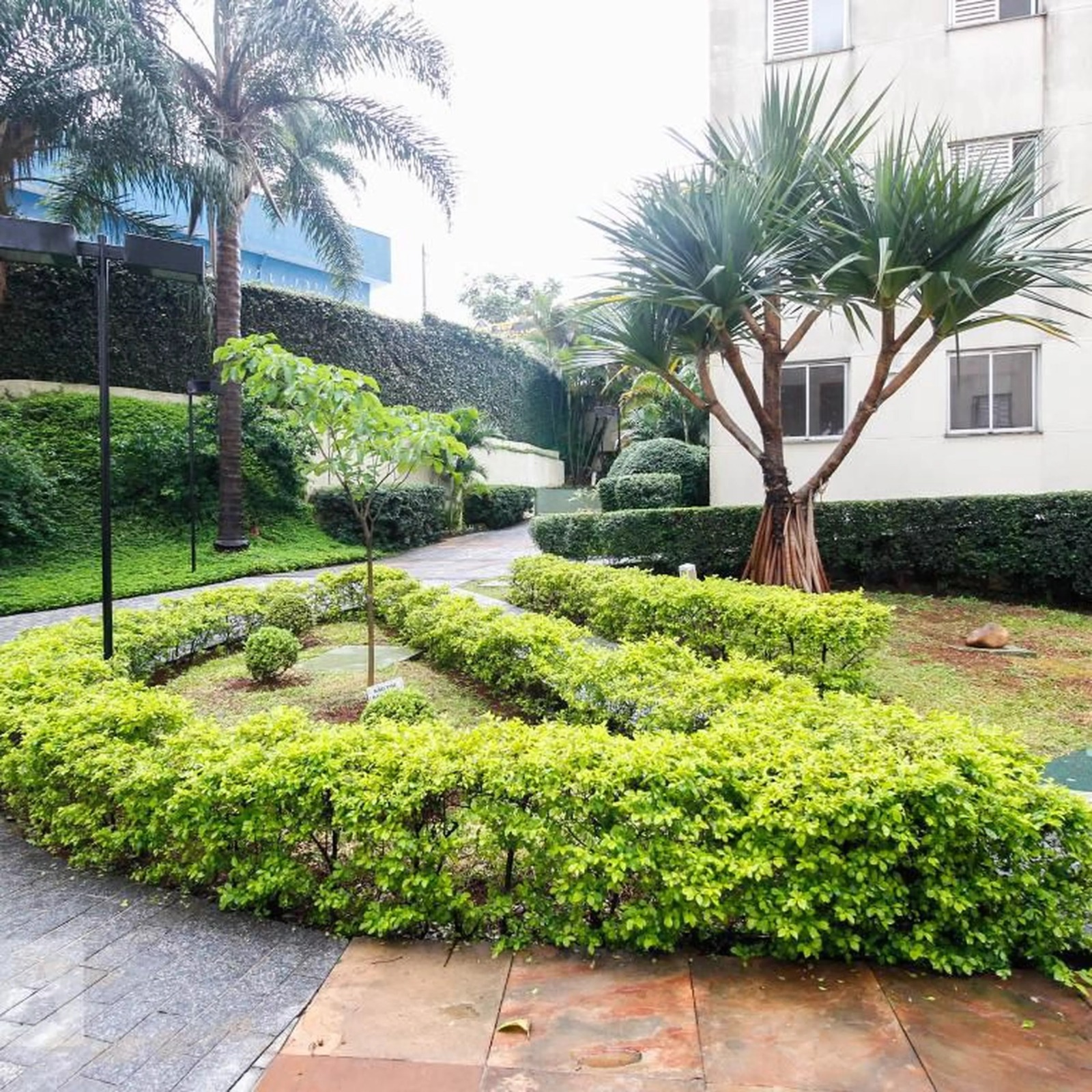 Imagem Apartamento com 2 Quartos à Venda, 49 m²em Vila Cruz das Almas - São Paulo Imagem Apartamento com 2 Quartos à Venda, 49 m²em Vila Cruz das Almas - São Paulo