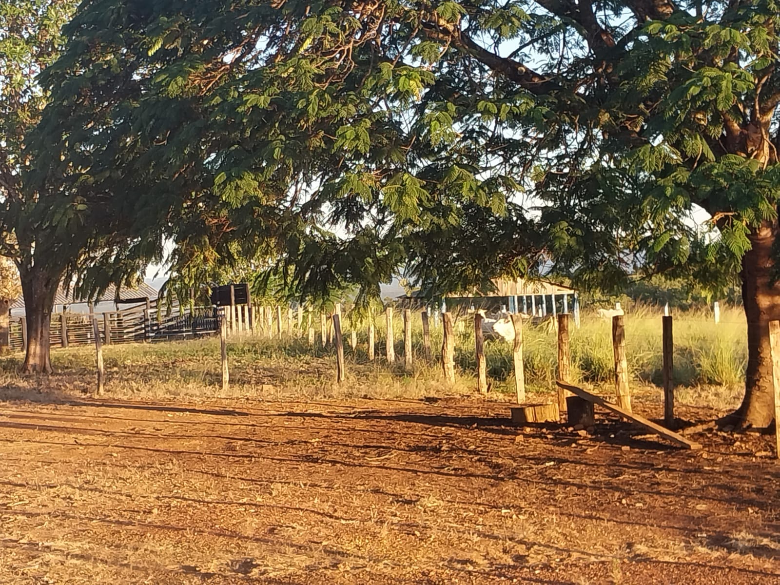 Imagem Fazenda à Venda, 353 HAem ZONA RURAL - Alto Araguaia Imagem Fazenda à Venda, 353 HAem ZONA RURAL - Alto Araguaia