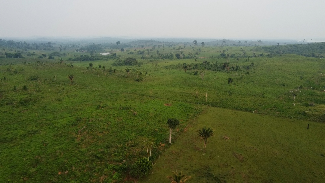 Imagem Fazenda à Venda, 1 m²em Centro - São Félix do Xingu Imagem Fazenda à Venda, 1 m²em Centro - São Félix do Xingu