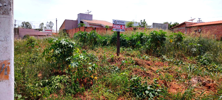 Imagem Terreno à Venda, 200 m²em pioneiros - Espigão D'Oeste
