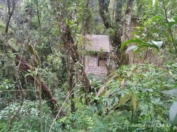 Imagem Terreno à Venda, 1.052 m² em Colinas do Imbiri - Campos do Jordão