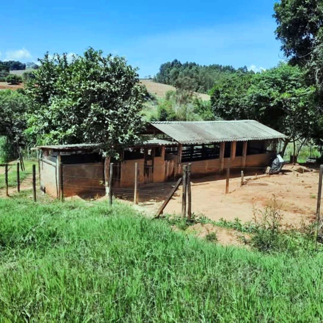 Imagem Fazenda à Venda, 4 Alq SPem rural - Caconde