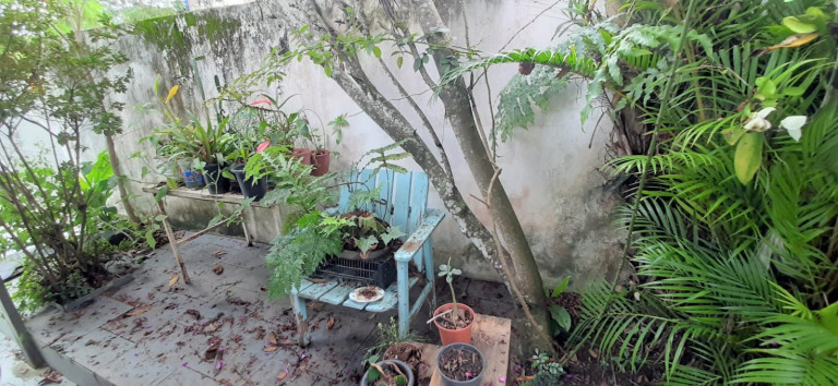 Imagem Casa com 2 Quartos à Venda,  em Morro do Abrigo - São Sebastião