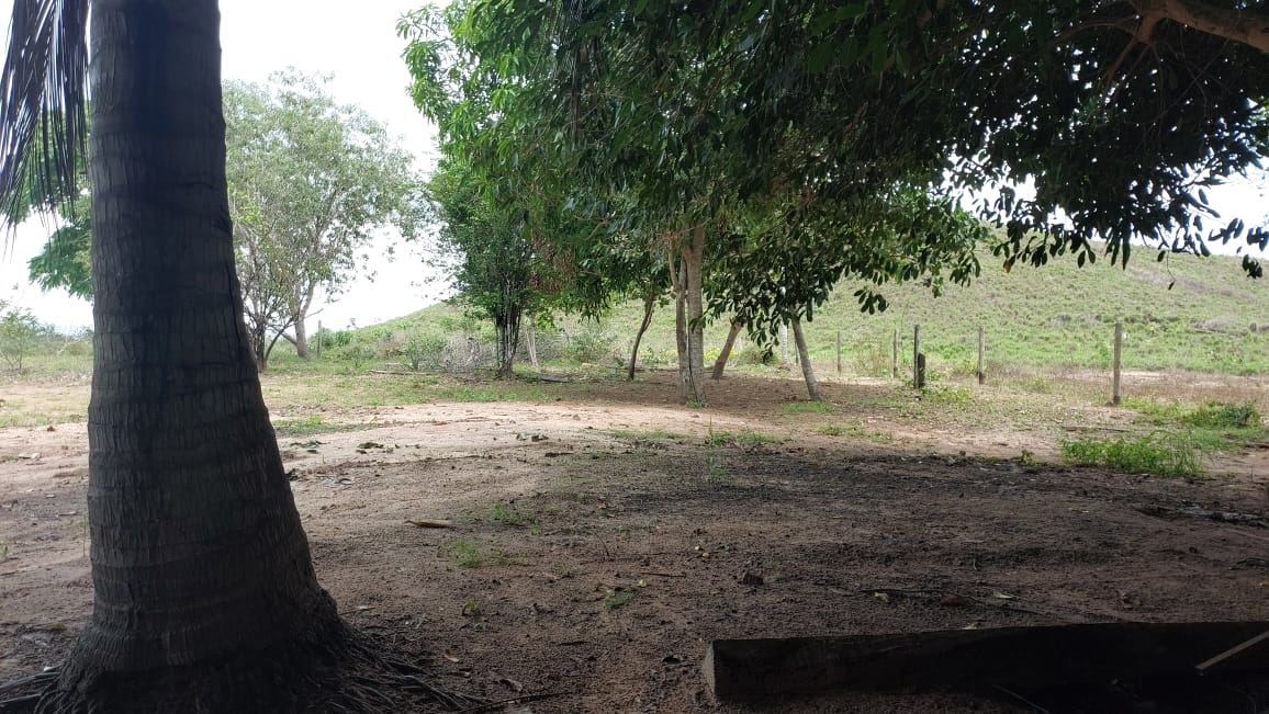 Imagem Fazenda à Venda, 9 Alq MGem Nova Marabá - Marabá