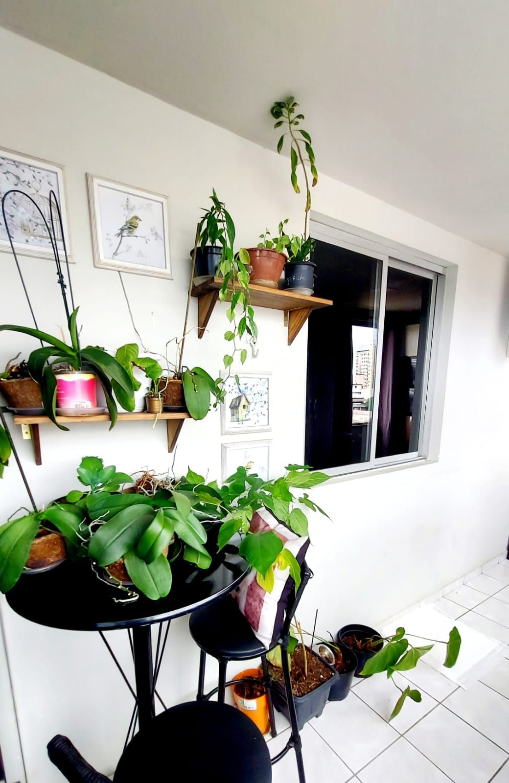 Imagem Apartamento com 2 Quartos à Venda, 98 m²em Coqueiral de Itaparica - Vila Velha
