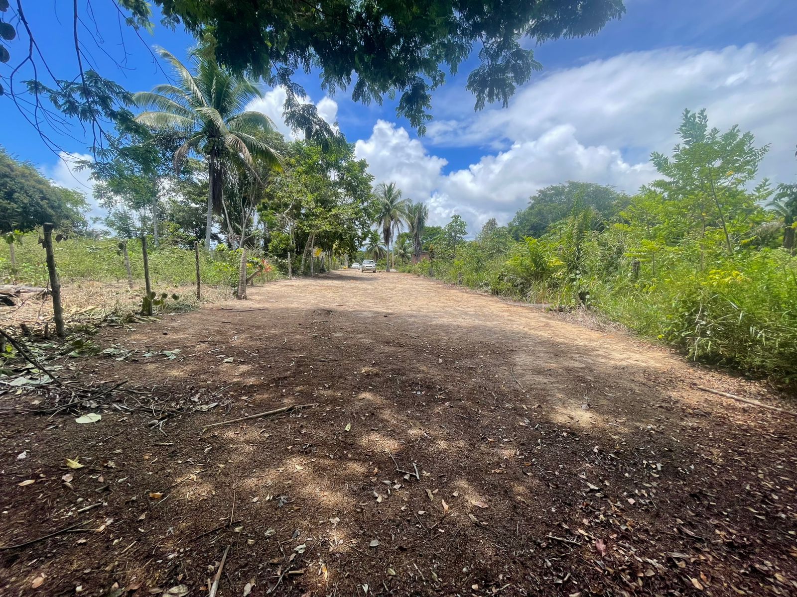 Imagem Terreno à Venda, 300 m² em centro - Una Imagem Terreno à Venda, 300 m² em centro - Una