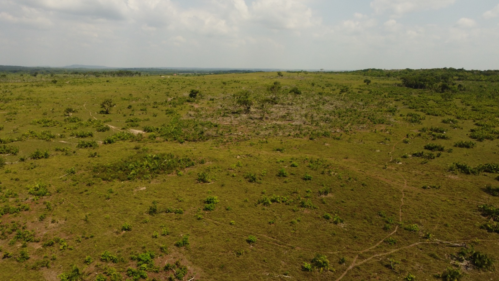 Imagem Fazenda à Venda, 523.000 HA em Mata Geral - Redenção