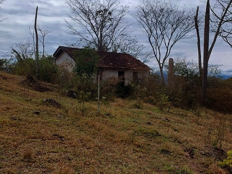 Imagem Fazenda à Venda, 459.000 HA em Área Rural de Valença - Valença