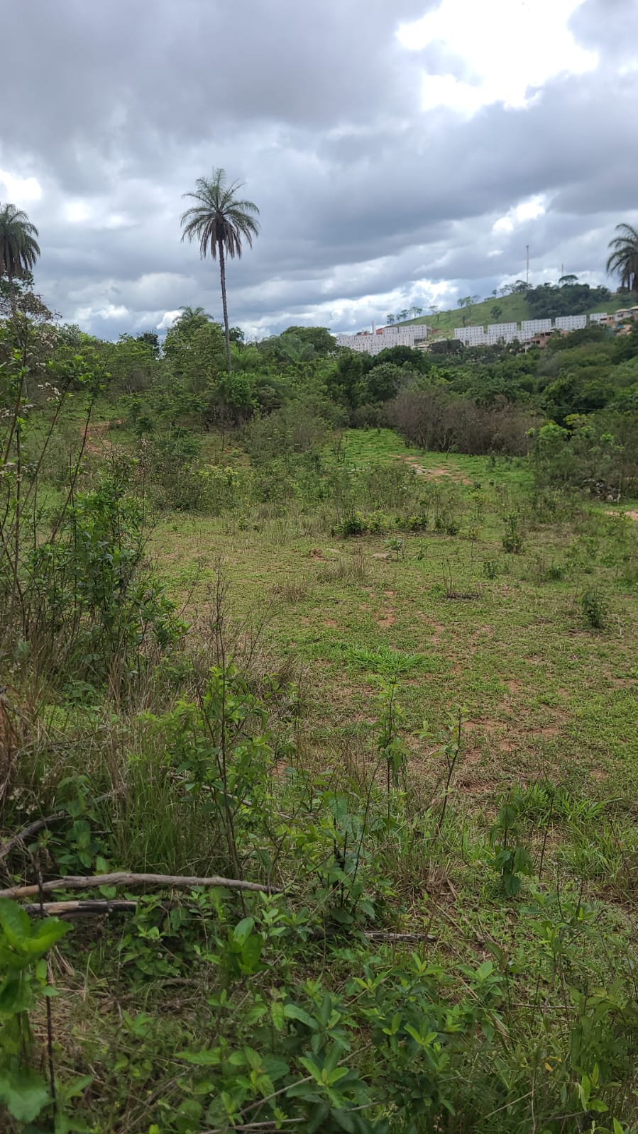 Imagem Terreno à Venda, 21.800 metro em Guadalajara (Justinópolis) - Ribeirão das Neves Imagem Terreno à Venda, 21.800 metro em Guadalajara (Justinópolis) - Ribeirão das Neves