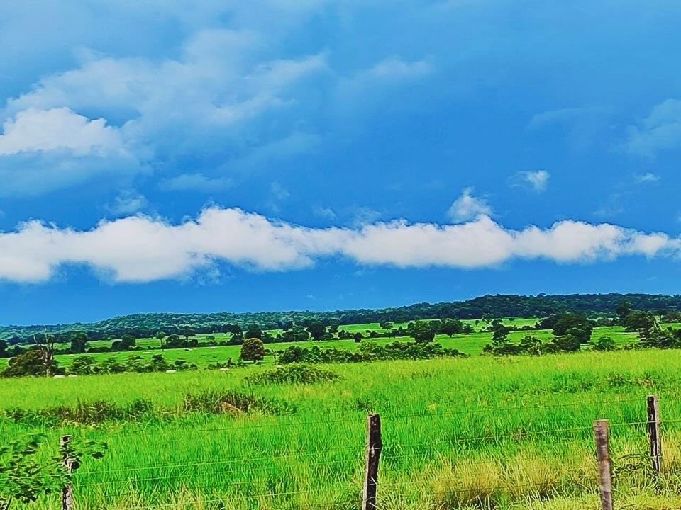 Imagem Fazenda à Venda, 1115 m² em ZONA RURAL - Mundo Novo Imagem Fazenda à Venda, 1115 m² em ZONA RURAL - Mundo Novo