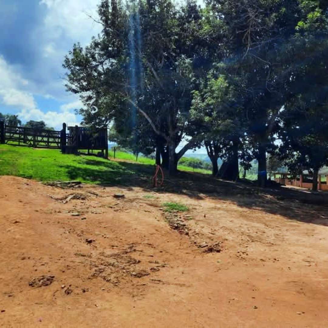 Imagem Fazenda à Venda, 4 Alq SPem rural - Caconde