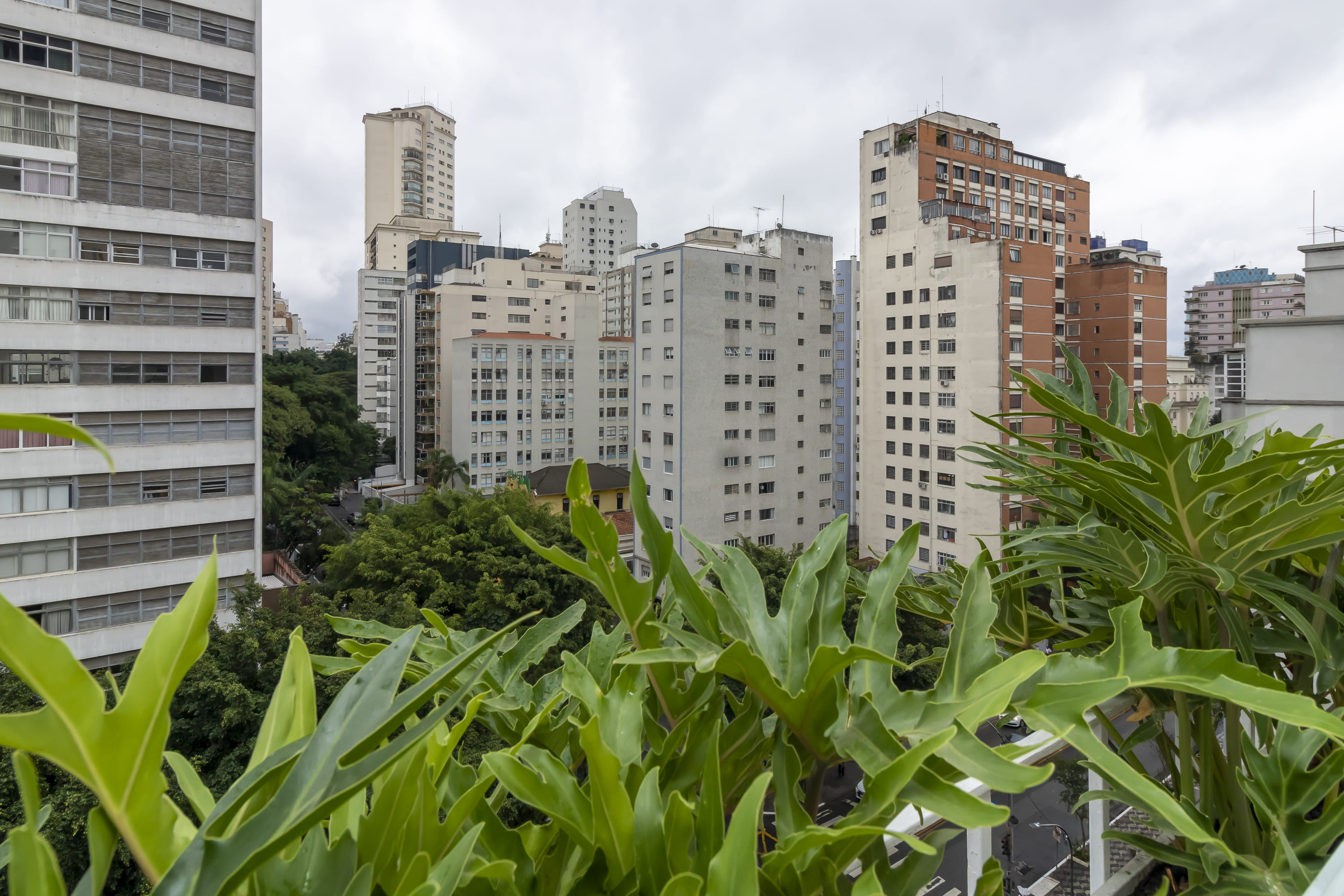 Imagem Apartamento com 3 Quartos à Venda, 239 m²em Higienópolis - São Paulo Imagem Apartamento com 3 Quartos à Venda, 239 m²em Higienópolis - São Paulo